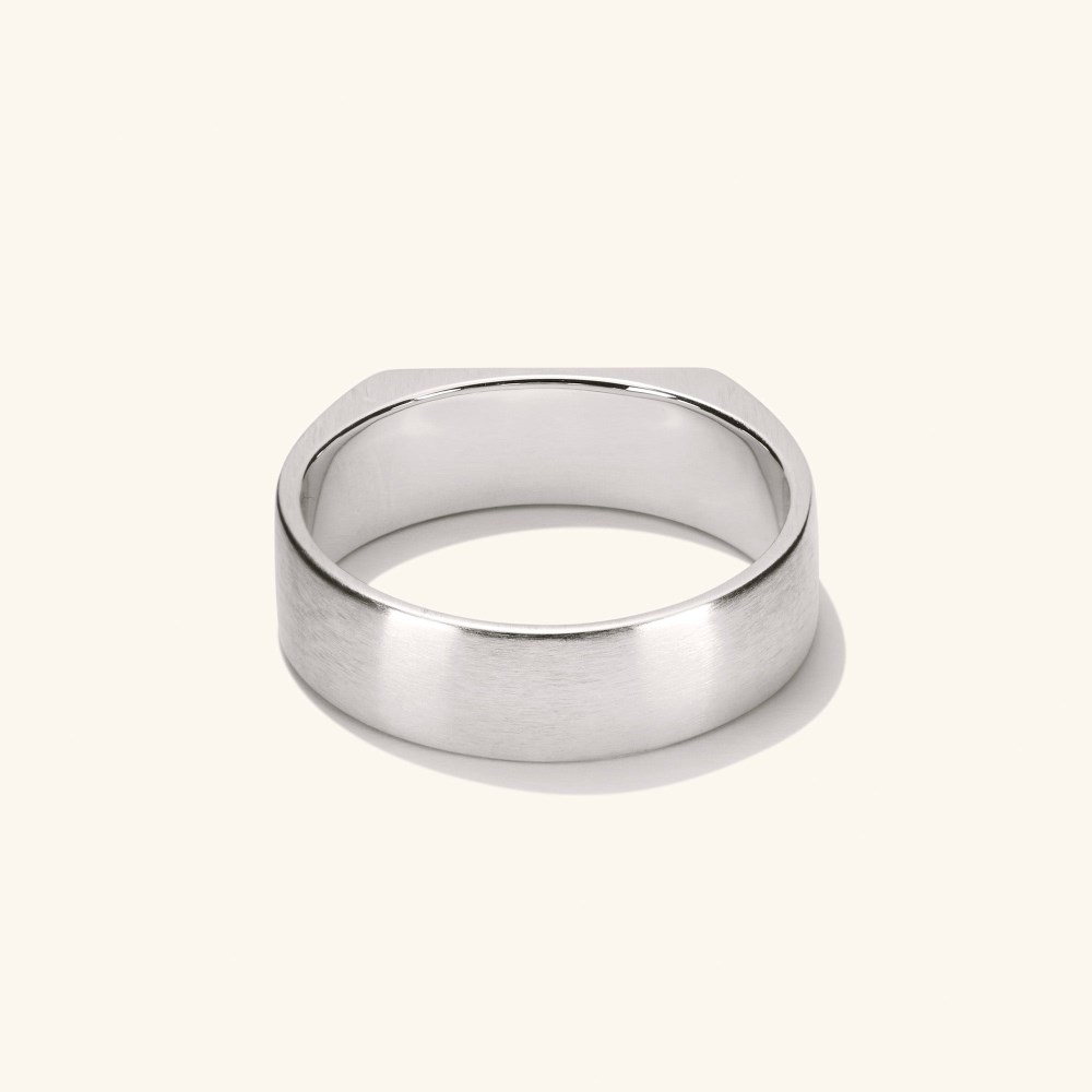 Mejuri Slim Rectangular Signet Ring - Titanium